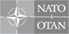 Nato logo