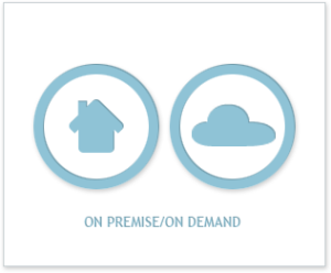 On-Premises and SaaS Solutions